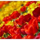 마이더스안경원 이미지