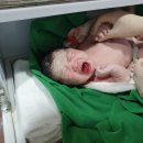 도담이 38주+2 오산우먼필 산부인과 제왕절개 출산입원 후기