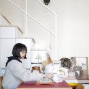 고양이집사 이미지