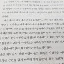 코넨 이미지