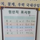 서씨네큰댁 네이버블로그