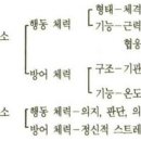 용인JG복싱PT 이미지