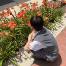 270-1519 | [공지] [경기 청년 사다리 프로그램] 미시간 대학교 / 사다리즈 1기 / 후기 / 4주간 계획 /50:1 경쟁률