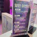 앨리스소풍