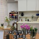 도토리플