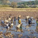 가산1리 이미지