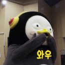 834쭈꾸미 이미지