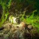 남해-312 이미지