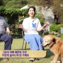 새롬농장 이미지