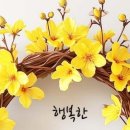 식사법 ㅡ당뇨식사법 이미지