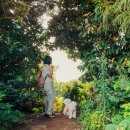 제주24시숨동물의료센터 | 8월 3주차 주간 기록 (feat 제주 기록)