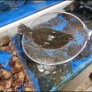 팔팔회센타 이미지