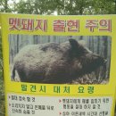 정수장추어탕 이미지