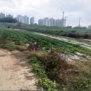 금천1리마을회관 이미지