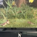 나와고양이 이미지