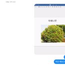 2025년 4월 초