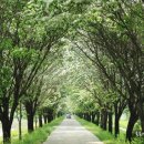 백곡천3 이미지