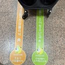 곰돌이약국 | 서울 야간진료 가능한 1년에 3일 쉬는 연세 곰돌이 소아과_국무총리표창 받은 소아과
