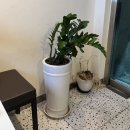 바른치킨 부산국제명지점 이미지