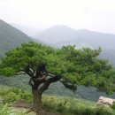 해인선원