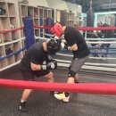 고잔복싱 이미지