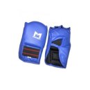 코브라 권투 체육관 이미지