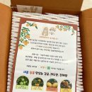 맛있는보몽니 제주 감귤 3kg 5kg 10kg 후기