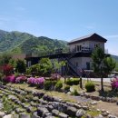 백담역민박 이미지