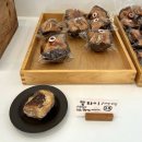 하동-화개-하동제6호 | [하동] 밤톨 I 하동에서 유명한 밤파이 내돈내산 포장 후기 (+예약픽업 방법)