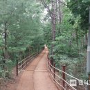 아람근린공원 이미지