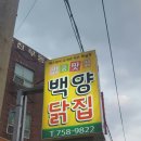 제주도 [[ 백양닭집 ]] 후기