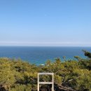 하슬라
