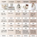 와이엠 이미지