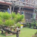 몽돌바당 이미지