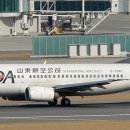 산둥항공(Shandong Airlines) 수하물, 특징, 장단점