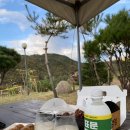 단양마늘새우강정 이미지