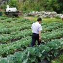 농사꾼농장 이미지