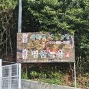 상록원 사슴농장 이미지