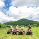 흑염소목장 이미지