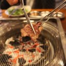 고기바보 이미지