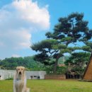 광명펜션 이미지