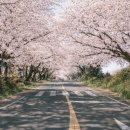 상예동-7 이미지