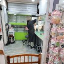 황제애견 이미지