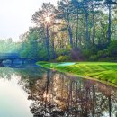 오거스타 이미지