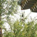 호수담다 이미지