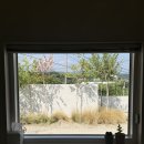 스테이솔올 이미지