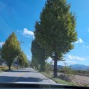 더밸리펜션민박 이미지