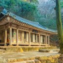 초당관광지 이미지