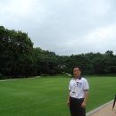 인삼약초시장 이미지