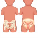 성조숙증에 대한 올바른 이해 | 대구성조숙증한의원 우리 아이의 올바른 속도를 찾아보아요